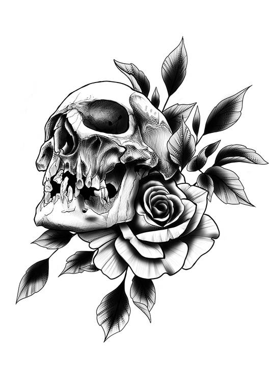 skull and rose preview