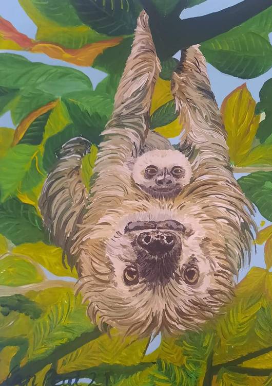 Mother and child Sloths preview
