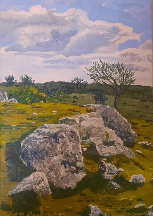 Pencoed common preview