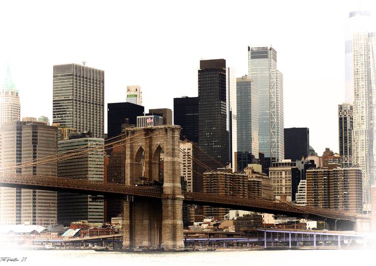 'Concrete Jungle' preview