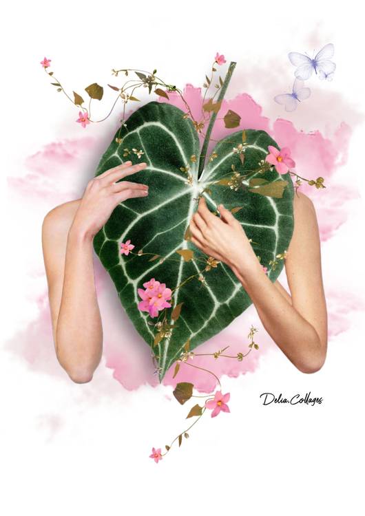 Latidos de la naturaleza preview