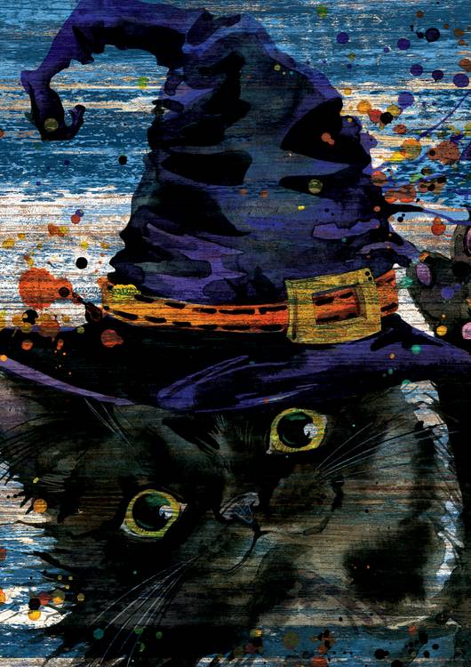 Hello, Black Cat! preview