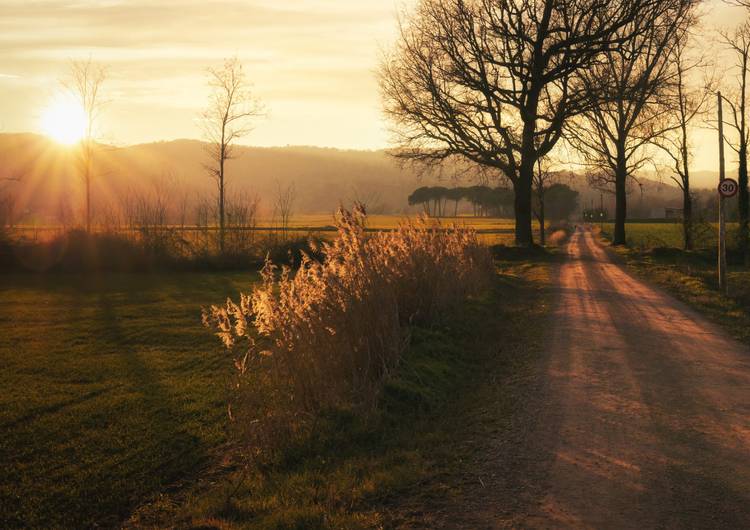 Rural road to Senfores, Malla, Catalonia preview
