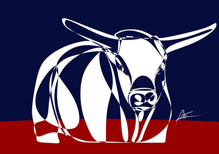 mirada de toro preview