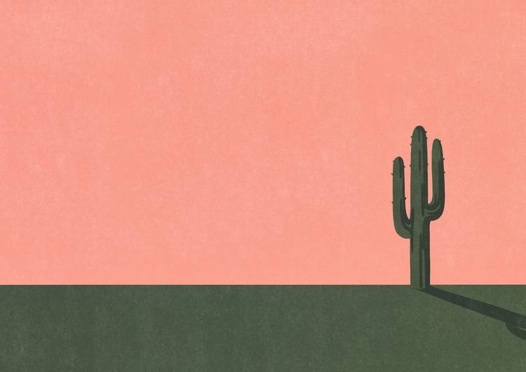 Lonely Cactus preview