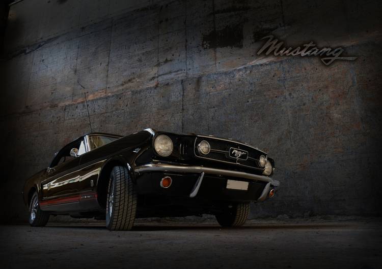 Black Mustang preview