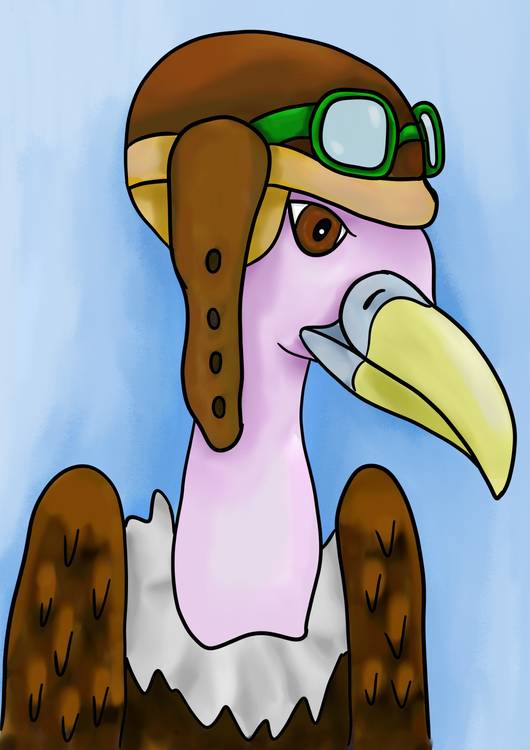 Pilot vulture preview