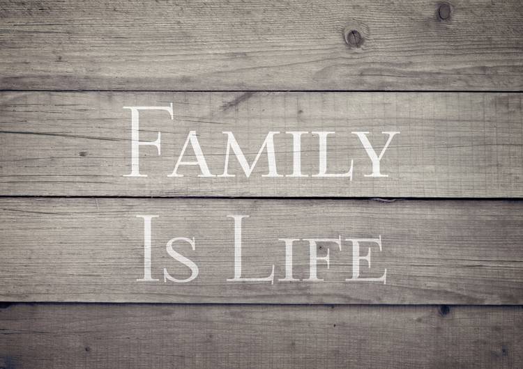 Family is Life preview