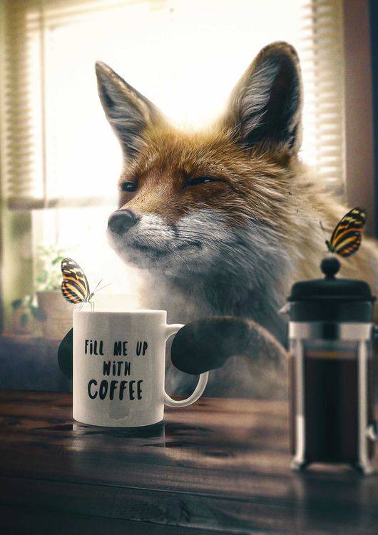 Morning Coffee preview