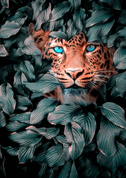 Winning spirit preview