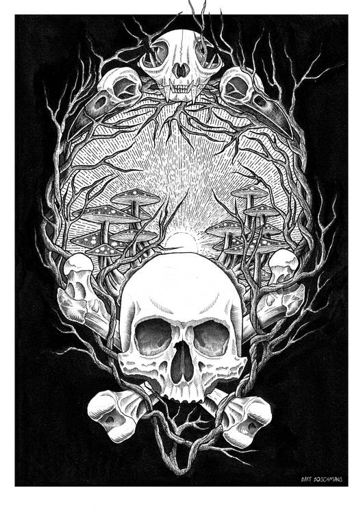 Mushroom Dawn preview