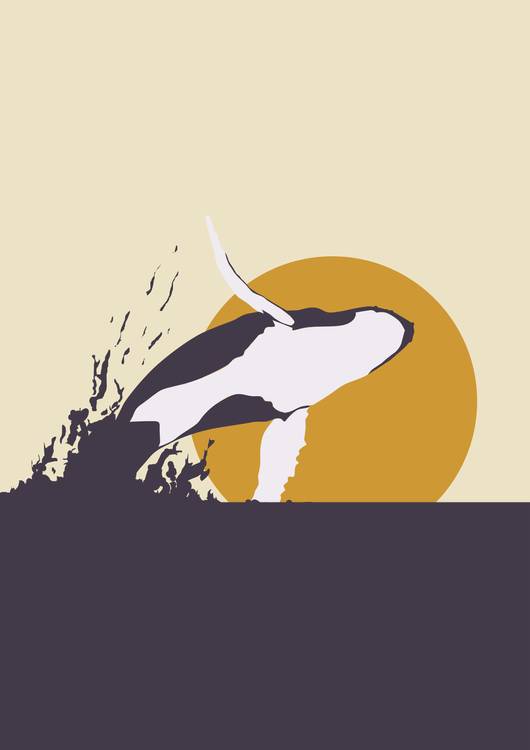 Humpback Whale and Sunset preview