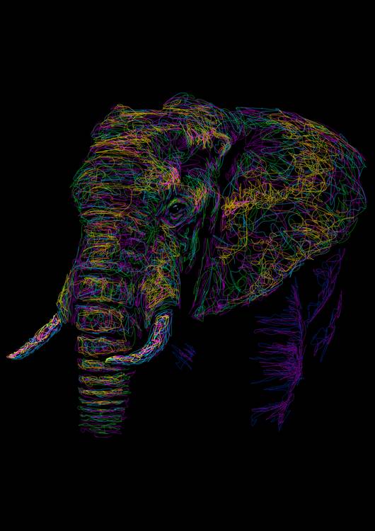 Elephant colorful preview