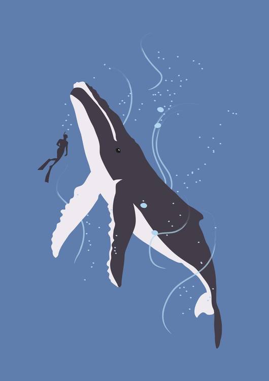 Humpback Whale and Human preview