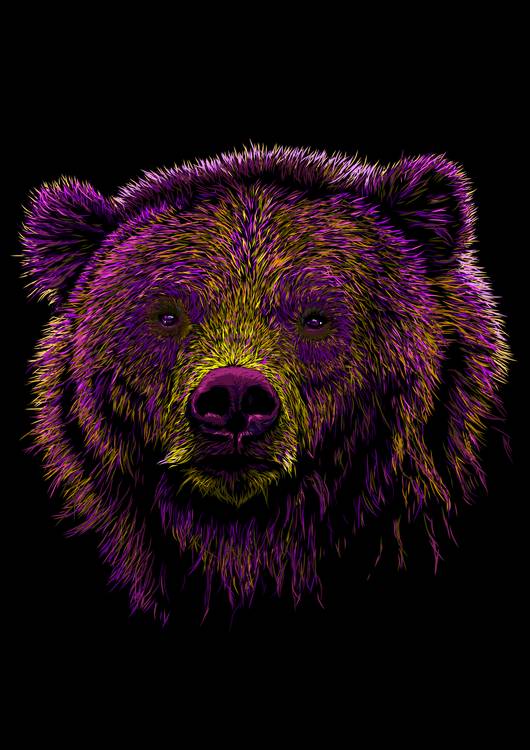 Bear preview