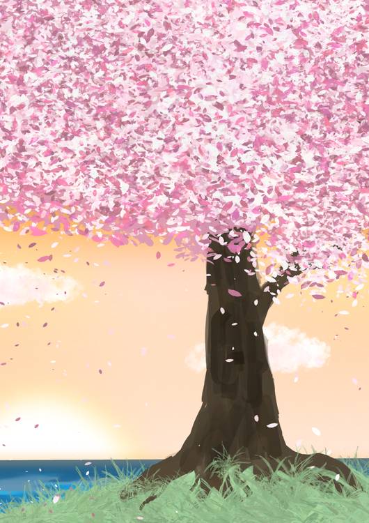 Cherry blossom preview