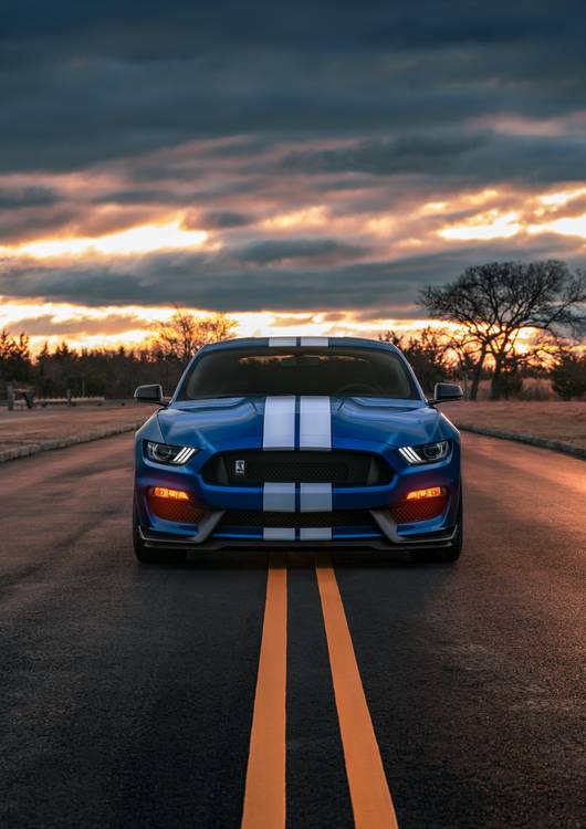 Ford Mustang Shelby GT350 preview