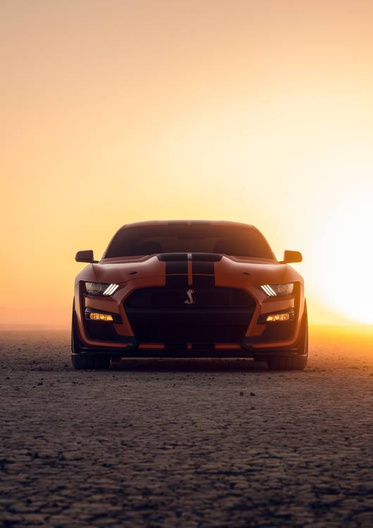 Ford Mustang Shelby GT500 preview