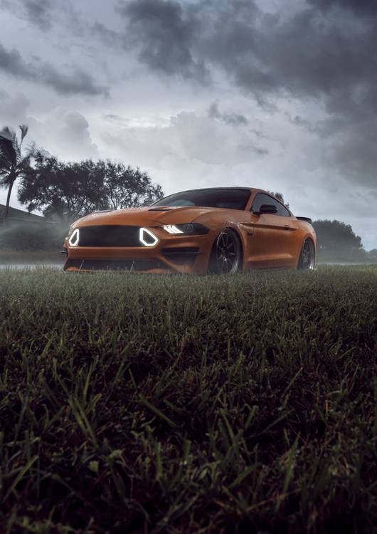 Ford Mustang GT RTR preview