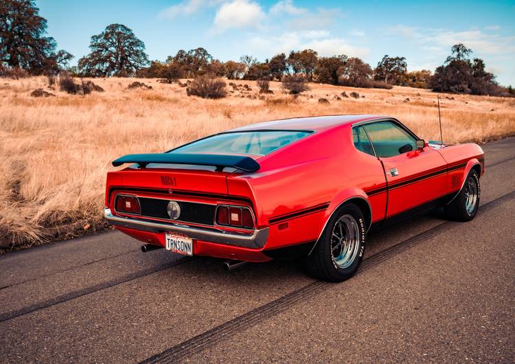 Ford Mustang Mach 1 preview