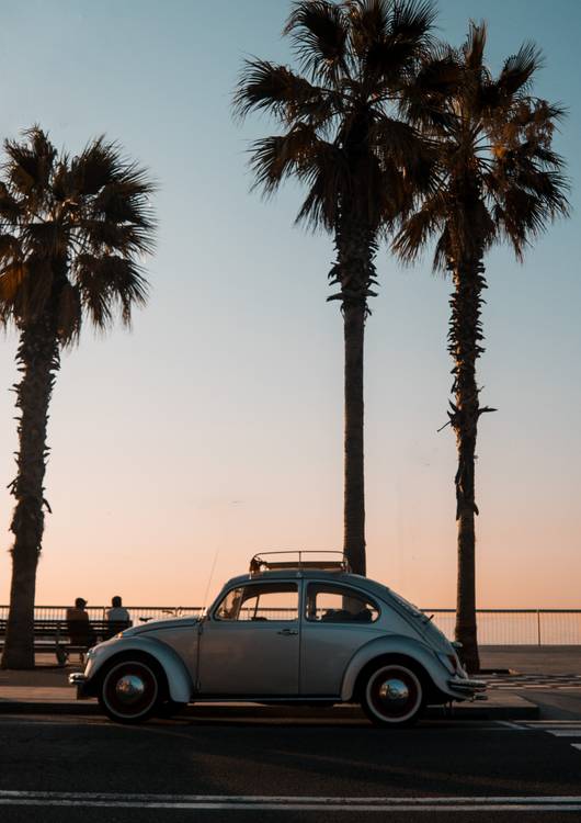 Volkswagen Beetle preview