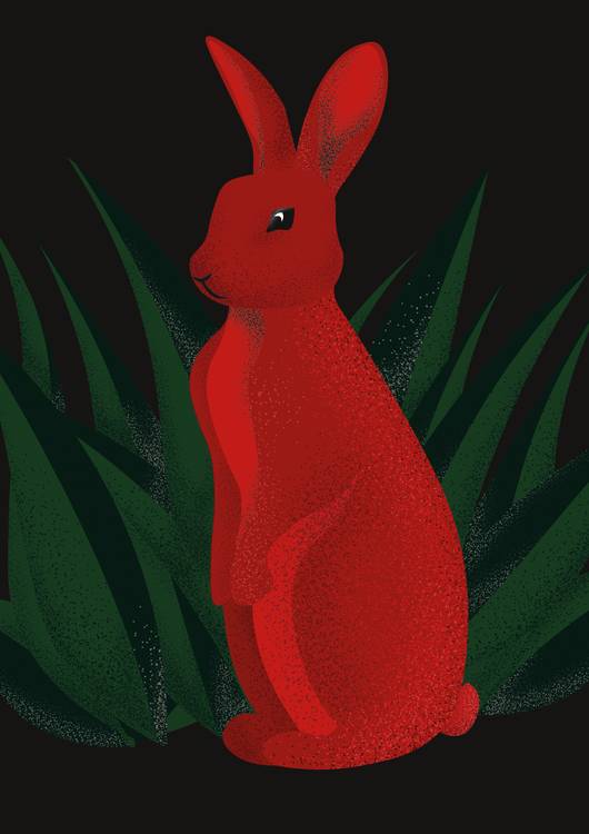 RED OR RABBIT preview