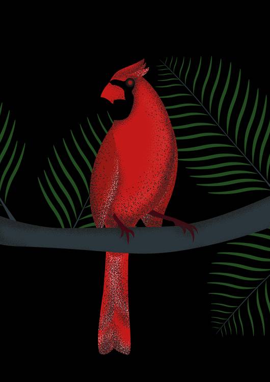 RED or BIRD preview