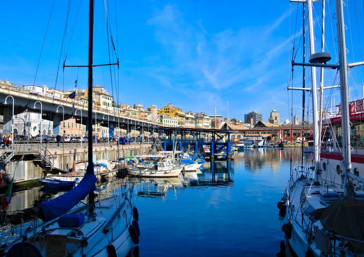 Genoa harbor preview