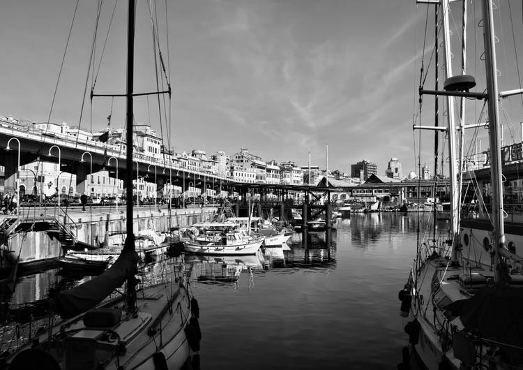 Genoa harbor preview