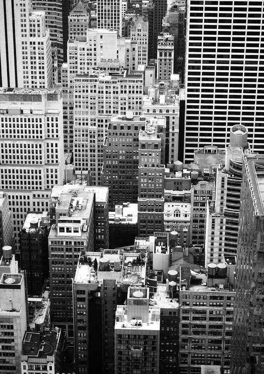 New York in black and white preview