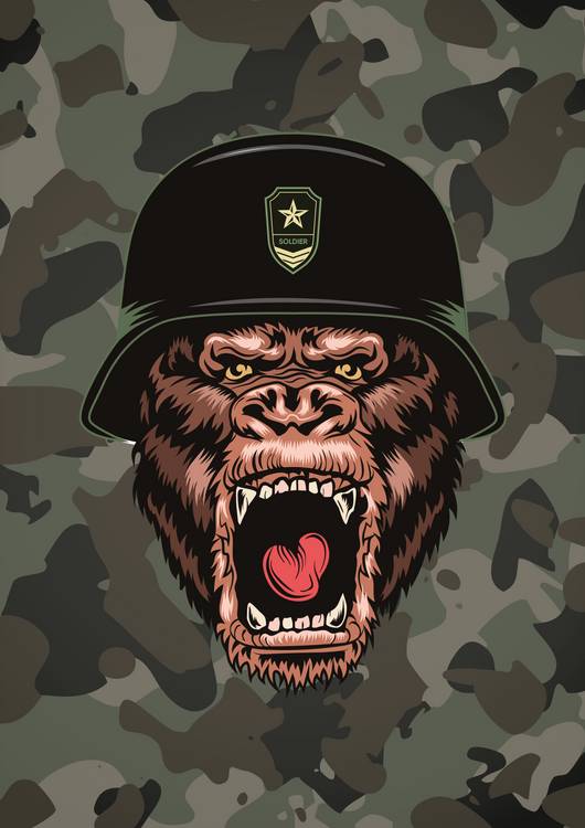 Army Monkey Canvas preview