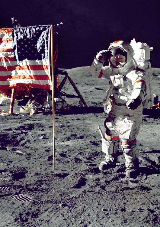 Astronaut on The Moon Canvas preview