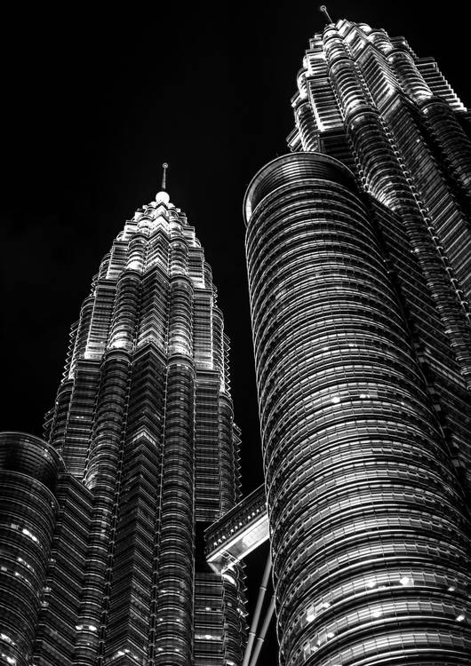 Petronas Twin Towers Canvas preview