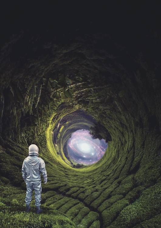 Sometimes I dream preview