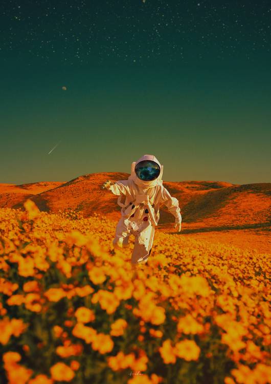 We travel, some of us forever, to seek other places, other lives, other souls preview