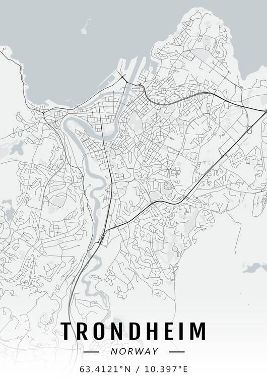 Trondheim map preview