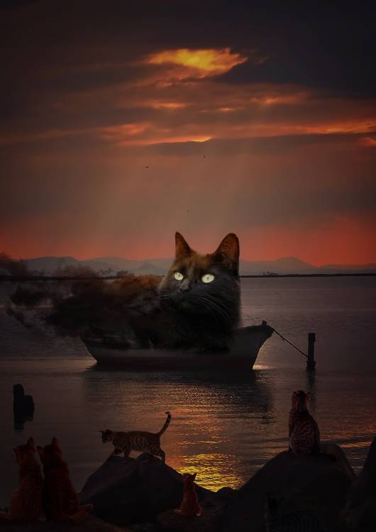 The land of cats preview