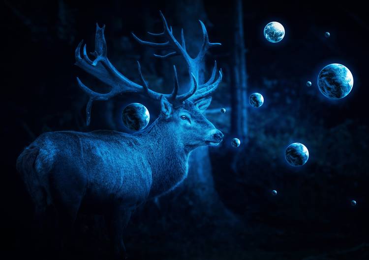 Deer Cosmos preview