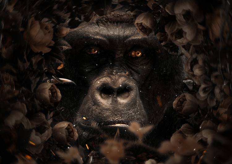 Floral Gorilla preview