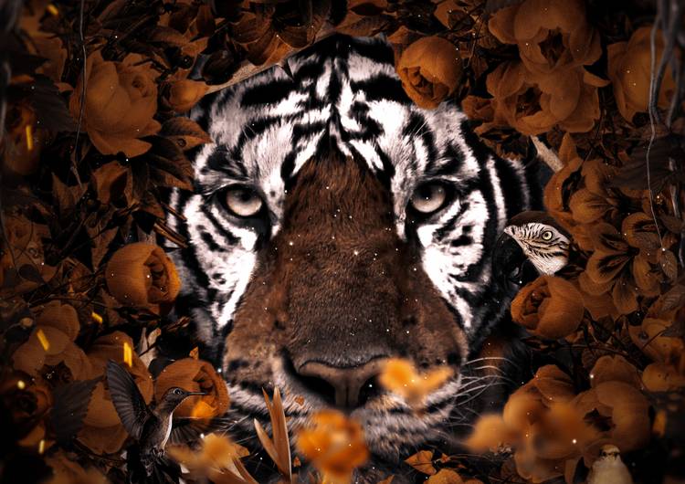 Floral Tiger preview