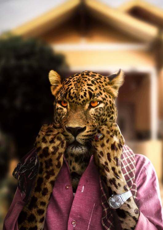 Leopard New Guise preview