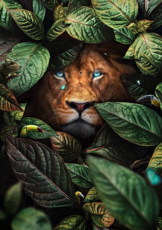 Lion in Leaves preview
