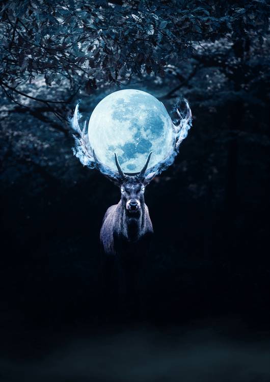 Mysterious Deer in Night preview