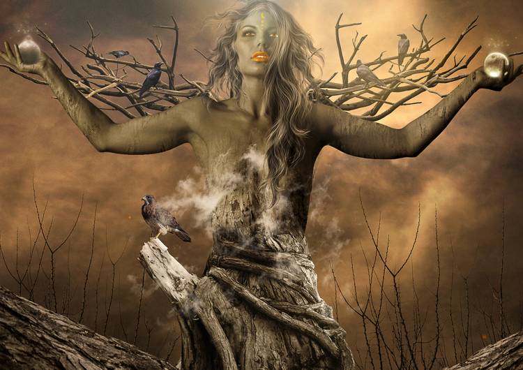 Tree of Life preview