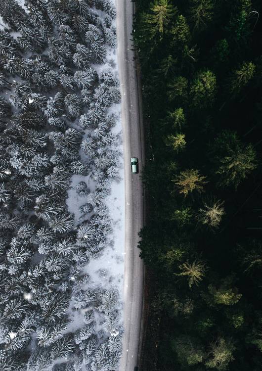 Winter Summer preview