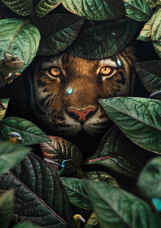 Tiger in Leaves preview