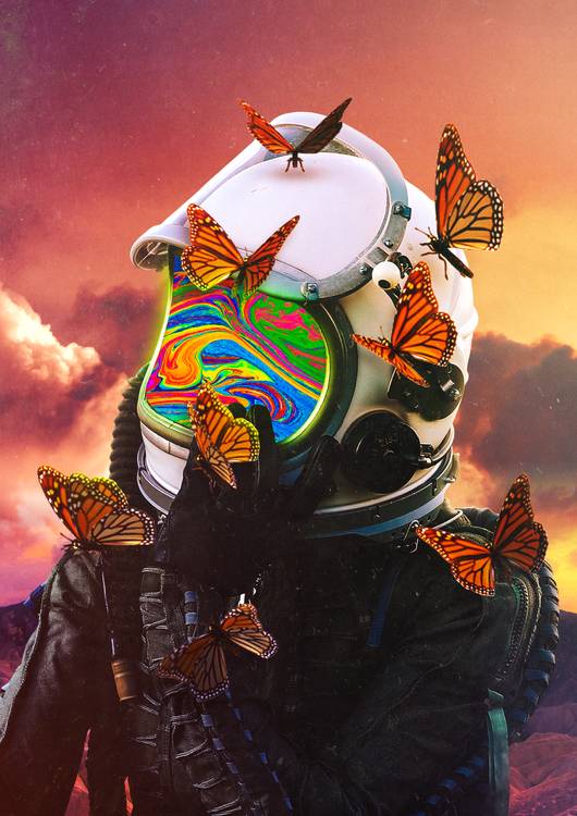 The thoughtful explorer preview