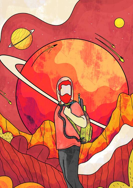 Explorer of the red planet preview