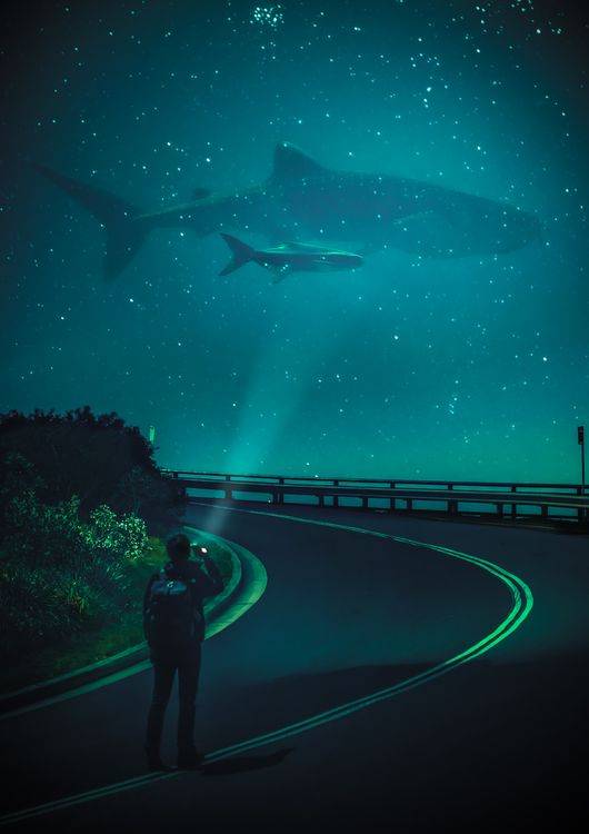 Shark in the Sky preview