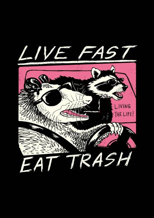 Live Fast, Eat Trash preview